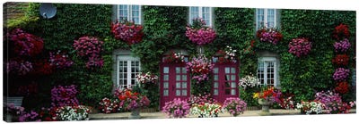 Flowers Breton Home Brittany France Canvas Art Print - Brittany