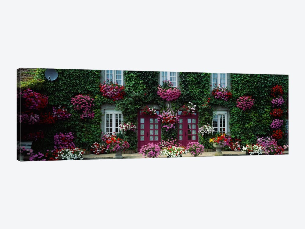 Flowers Breton Home Brittany France by Panoramic Images 1-piece Art Print