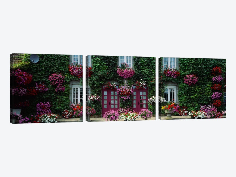 Flowers Breton Home Brittany France by Panoramic Images 3-piece Art Print