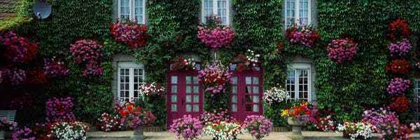 Windows: Flowers Breton Home Brittany France by Panoramic Images