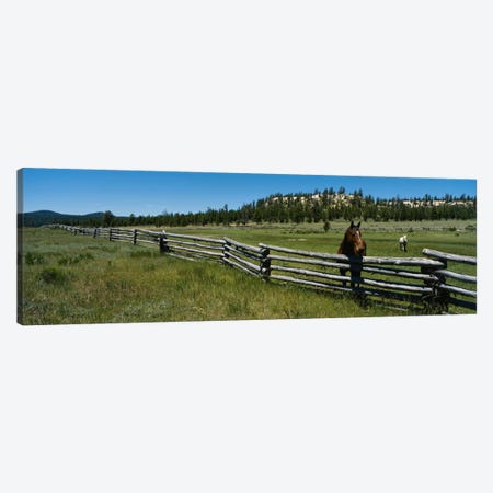Two horses in a field, Arizona, USA Canvas Print #PIM213} by Panoramic Images Canvas Print
