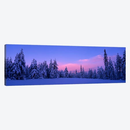 Snowy Winter Landscape, Dalarna, Svealand, Sweden Canvas Print #PIM214} by Panoramic Images Canvas Wall Art