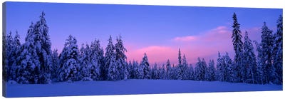 Snowy Winter Landscape, Dalarna, Svealand, Sweden Canvas Art Print