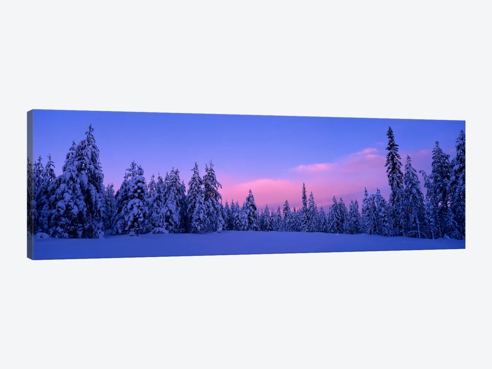 Snowy Winter Landscape, Dalarna, Svealand, Sweden by Panoramic Images 1-piece Canvas Wall Art