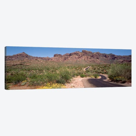 Cacti-Laden Desert Trail, Organ Pipe Cactus National Monument, Pima County, Arizona, USA Canvas Print #PIM2175} by Panoramic Images Canvas Wall Art