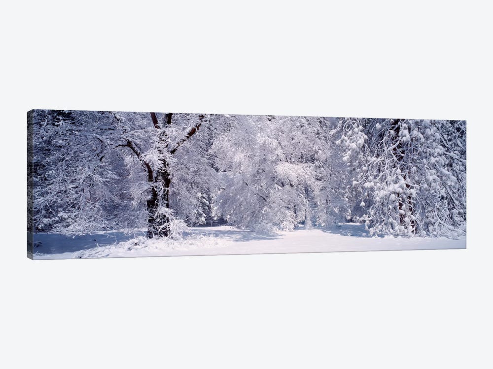 Snowy Winter Landscape, Yosemite National Park, California, USA by Panoramic Images 1-piece Art Print
