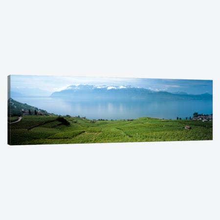 Vineyard Terraces & Lake Geneva, Lavaux, Vaud, Switzerland Canvas Print #PIM2198} by Panoramic Images Canvas Art Print