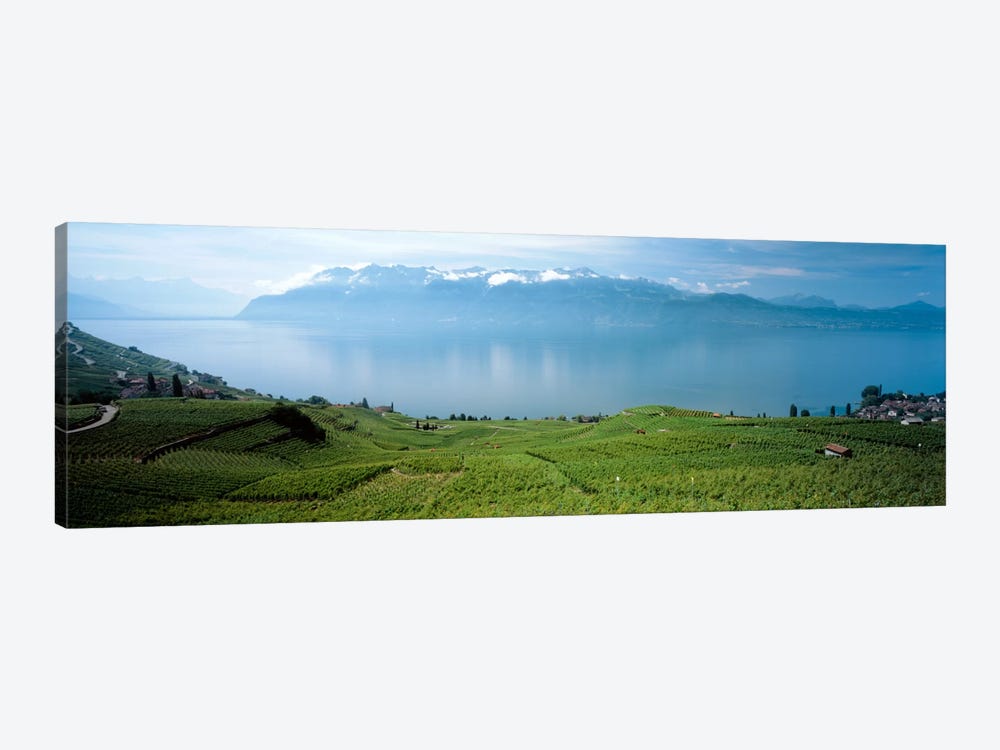 Vineyard Terraces & Lake Geneva, Lavaux, Vaud, Switzerland by Panoramic Images 1-piece Canvas Wall Art