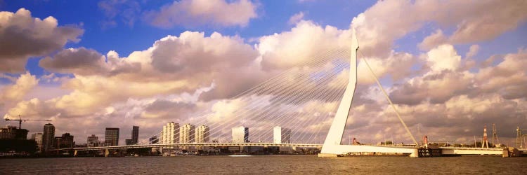 Cloudy Day Over The Erasmus Bridge, Rotterdam, South Holland, Netherlands by Panoramic Images wall art