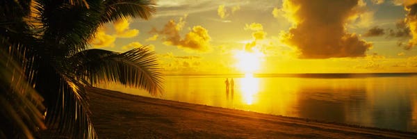 Tropical Beaches: Couple At Sunset, Aitutaki, Cook Islands by Panoramic Images