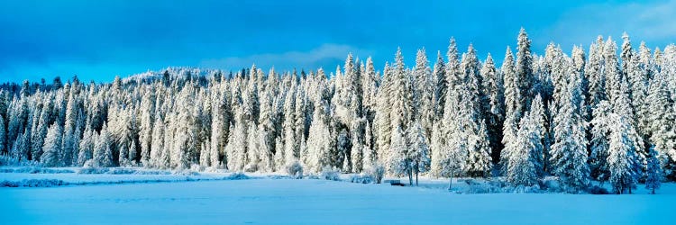 Winter Wawona Meadow Yosemite National Park CA USA