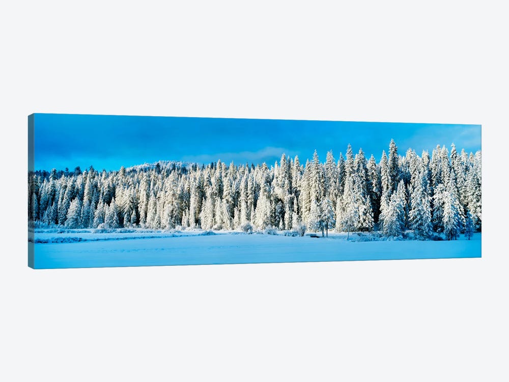 Winter Wawona Meadow Yosemite National Park CA USA by Panoramic Images 1-piece Canvas Art Print
