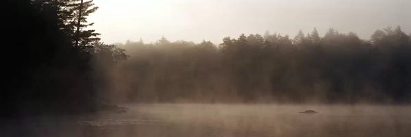 Adirondacks: Morning Mist Adirondack State Park Old Forge NY USA by Panoramic Images