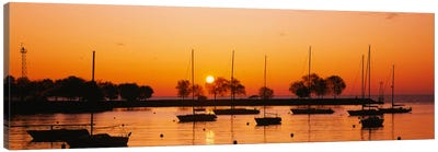 Silhouette of sailboats in a lake, Lake Michigan, Chicago, Illinois, USA Canvas Art Print
