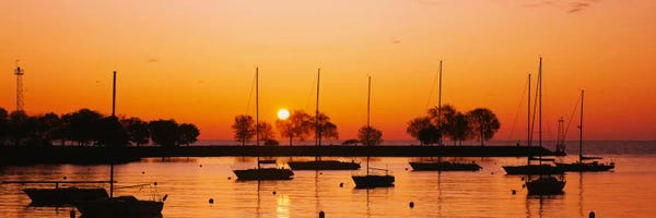 Lake Sunrises & Sunsets: Silhouette of sailboats in a lake, Lake Michigan, Chicago, Illinois, USA by Panoramic Images