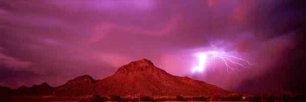 Tucson: Tucson AZ USA by Panoramic Images