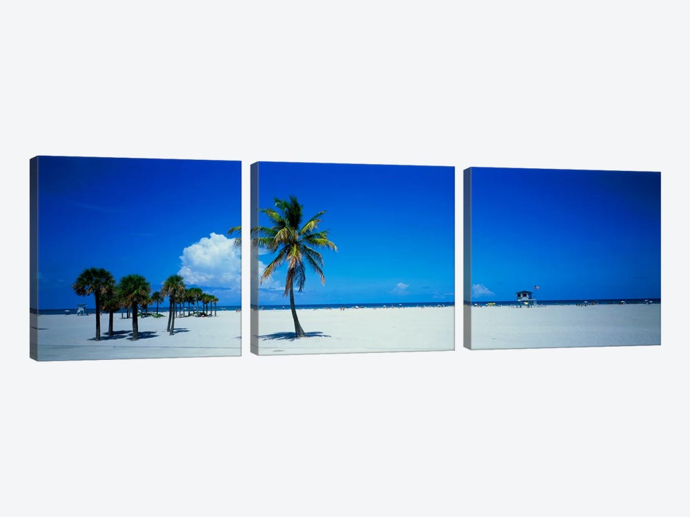 Miami FL USA #2 by Panoramic Images 3-piece Canvas Artwork