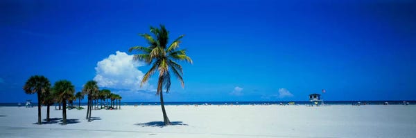 Miami: Miami FL USA #2 by Panoramic Images