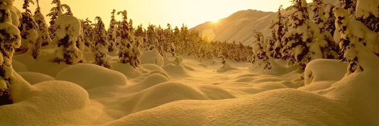 Snowy Winter Landscape At Sunset, Turnagain Pass, Kenai Peninsula Borough, Alaska, USA