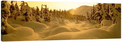 Snowy Winter Landscape At Sunset, Turnagain Pass, Kenai Peninsula Borough, Alaska, USA Canvas Art Print - Alaska Art