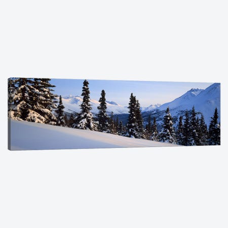 Winter Chugach Mountains AK Canvas Print #PIM2356} by Panoramic Images Canvas Wall Art