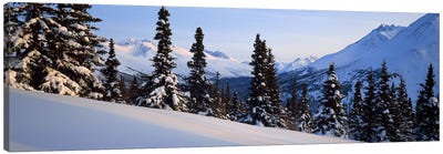 Winter Chugach Mountains AK Canvas Art Print - Snowscape Art