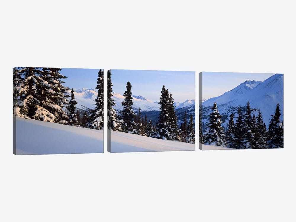 Winter Chugach Mountains AK by Panoramic Images 3-piece Canvas Print