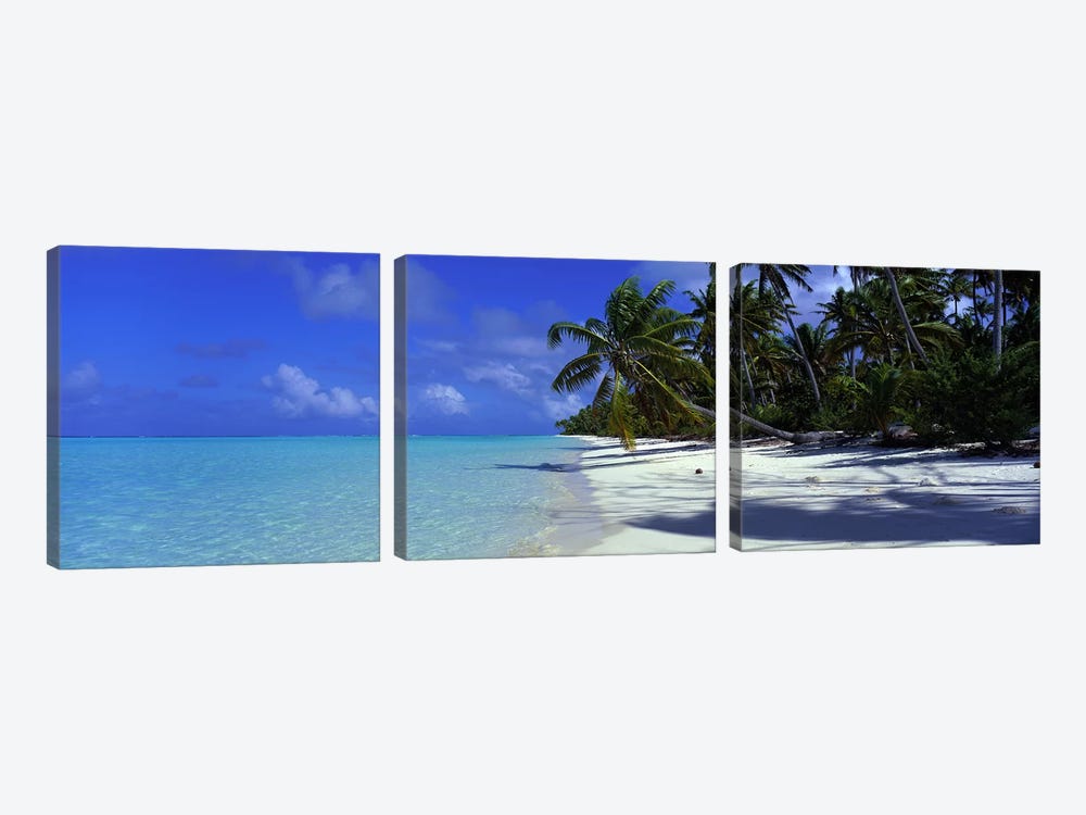 Isolated Beach, Teti'aroa, Windward Islands, Society Islands, French Polynesia by Panoramic Images 3-piece Canvas Print