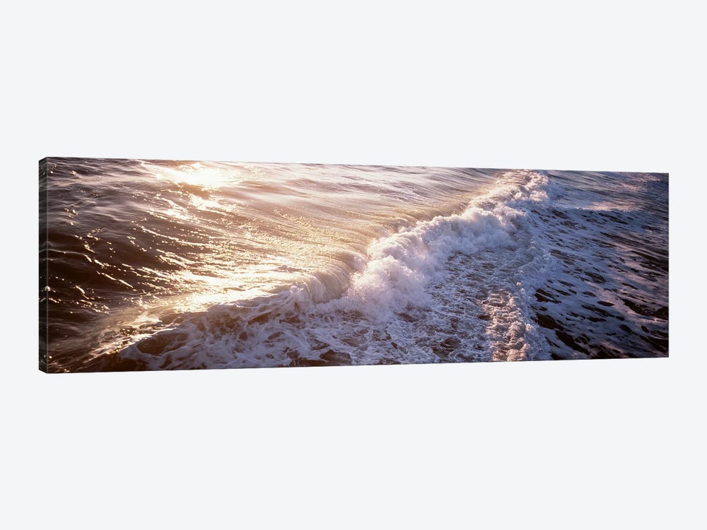 Waves FL USA by Panoramic Images 1-piece Art Print
