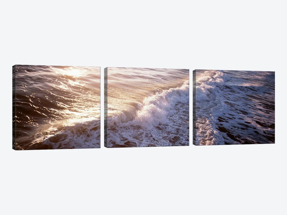 Waves FL USA by Panoramic Images 3-piece Canvas Print