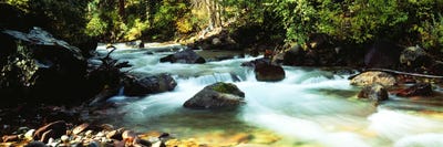 Mountain Stream CO USA by Panoramic Images canvas print