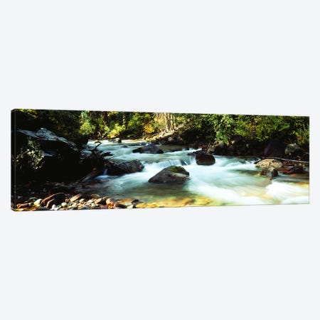 Mountain Stream CO USA Canvas Print #PIM2369} by Panoramic Images Canvas Wall Art