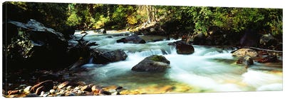 Mountain Stream CO USA Canvas Art Print - River, Creek & Stream Art