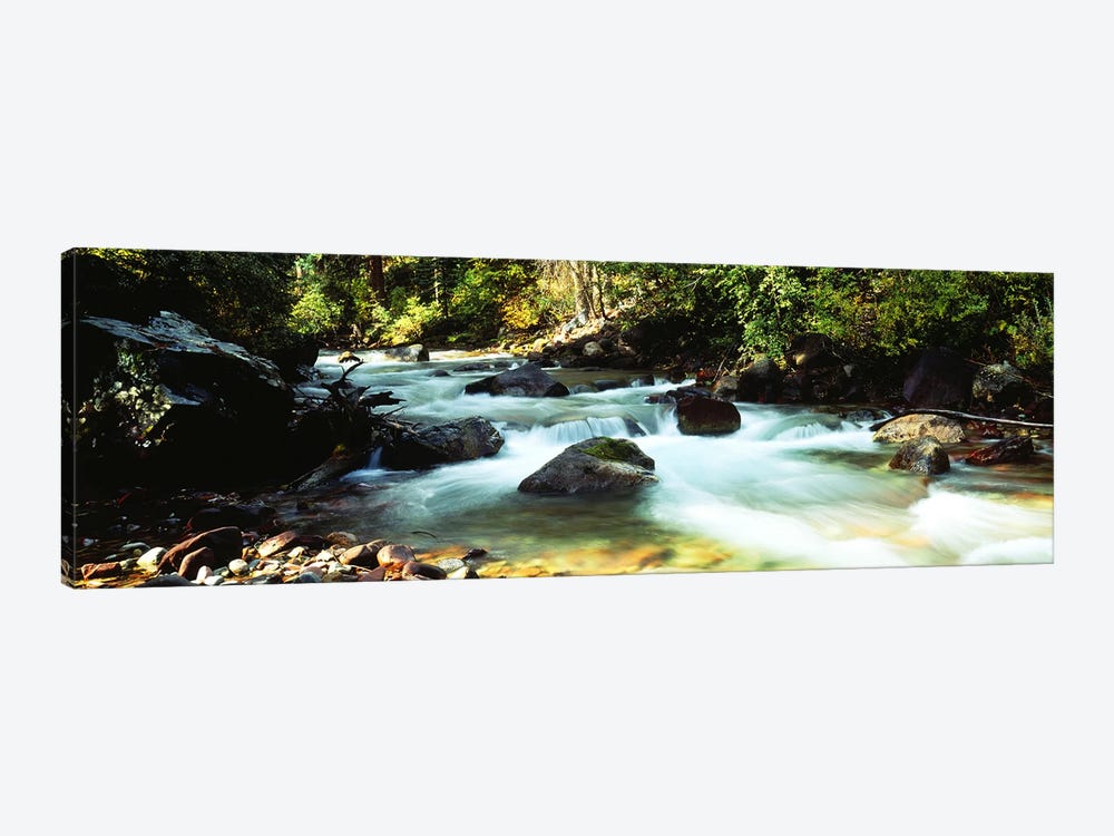Mountain Stream CO USA by Panoramic Images 1-piece Canvas Art Print