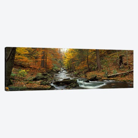 Fall Trees Kitchen Creek PA Canvas Print #PIM2371} by Panoramic Images Canvas Print
