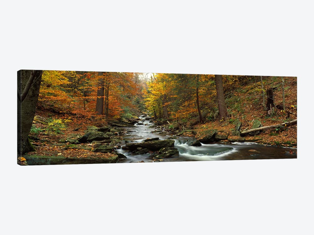 Fall Trees Kitchen Creek PA by Panoramic Images 1-piece Canvas Art