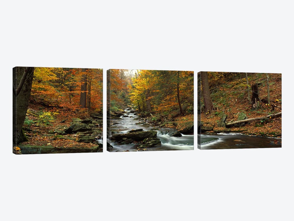 Fall Trees Kitchen Creek PA by Panoramic Images 3-piece Canvas Wall Art