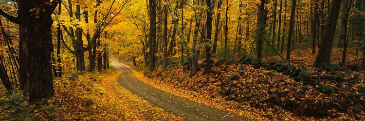 Fall woods Monadnock NH USA by Panoramic Images wall art