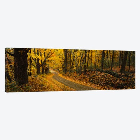 Fall woods Monadnock NH USA Canvas Print #PIM2375} by Panoramic Images Canvas Art
