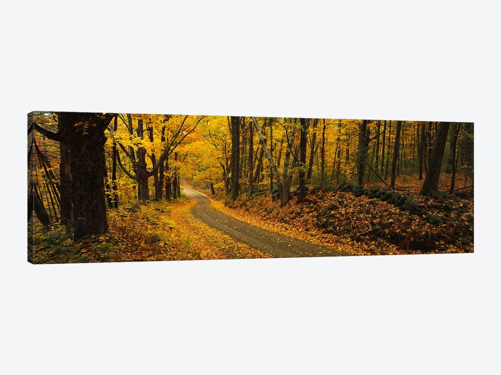 Fall woods Monadnock NH USA by Panoramic Images 1-piece Canvas Artwork