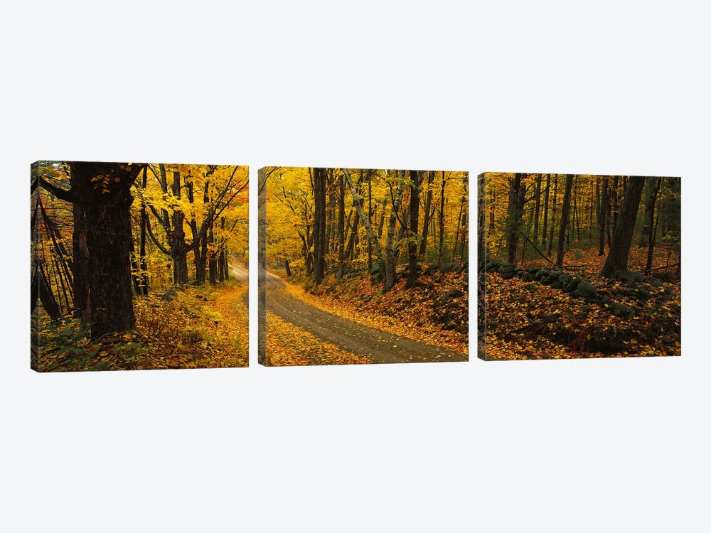 Fall woods Monadnock NH USA by Panoramic Images 3-piece Canvas Wall Art