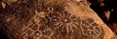 Close-up of petroglyphs on a rock, Saguaro National Park, Tucson, Arizona, USA by Panoramic Images canvas print