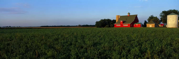 Farm Fields Stelle IL USA by Panoramic Images wall art