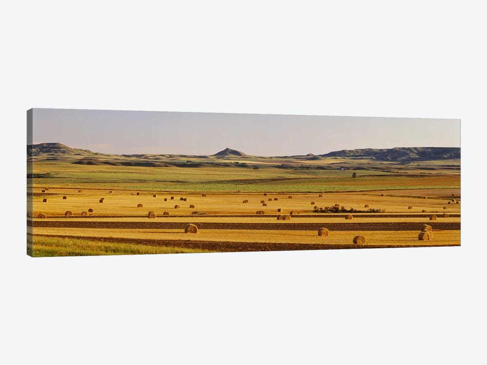Slope country ND USA by Panoramic Images 1-piece Canvas Print