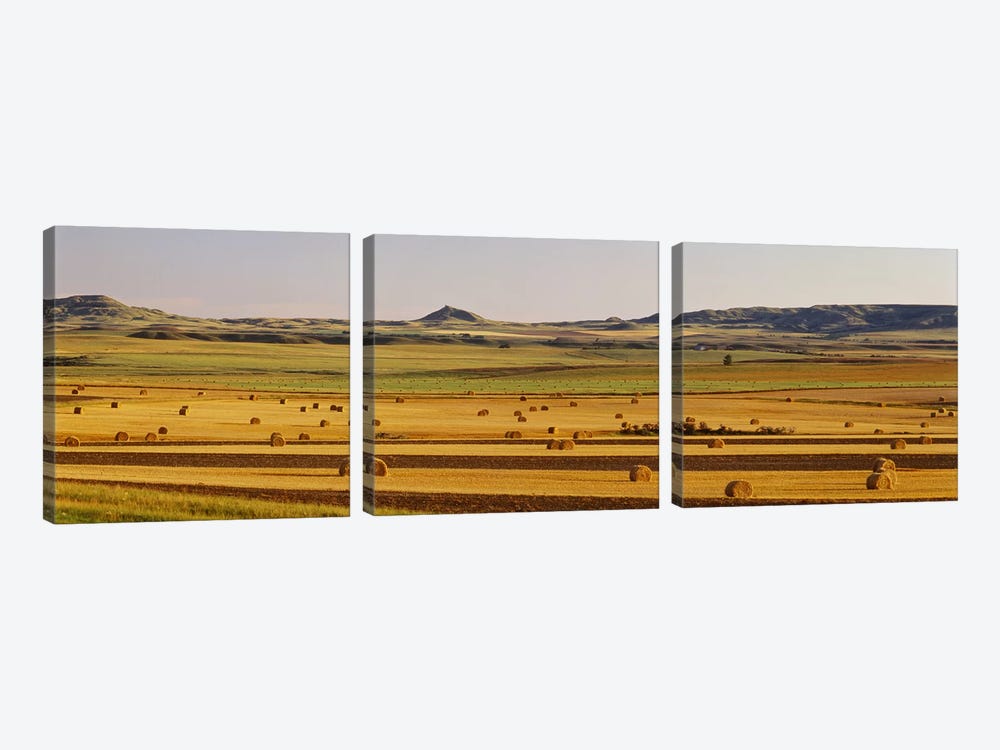 Slope country ND USA by Panoramic Images 3-piece Canvas Print