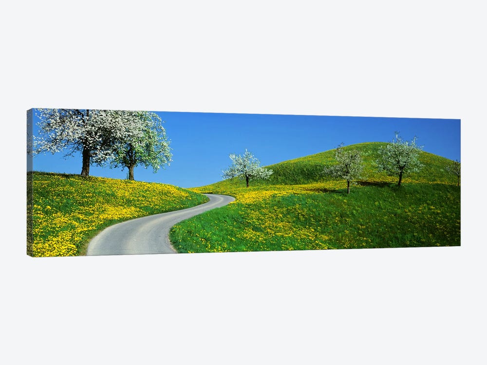 Winding Road Canton Switzerland by Panoramic Images 1-piece Canvas Artwork