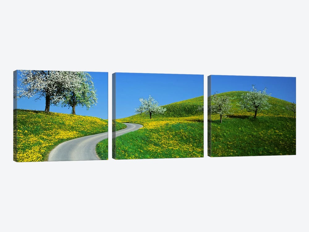 Winding Road Canton Switzerland by Panoramic Images 3-piece Canvas Wall Art