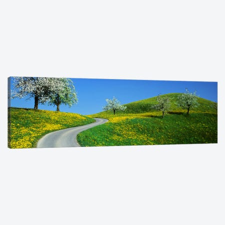 Winding Road Canton Switzerland Canvas Print #PIM2382} by Panoramic Images Canvas Wall Art