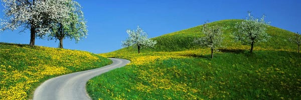Switzerland: Winding Road Canton Switzerland by Panoramic Images