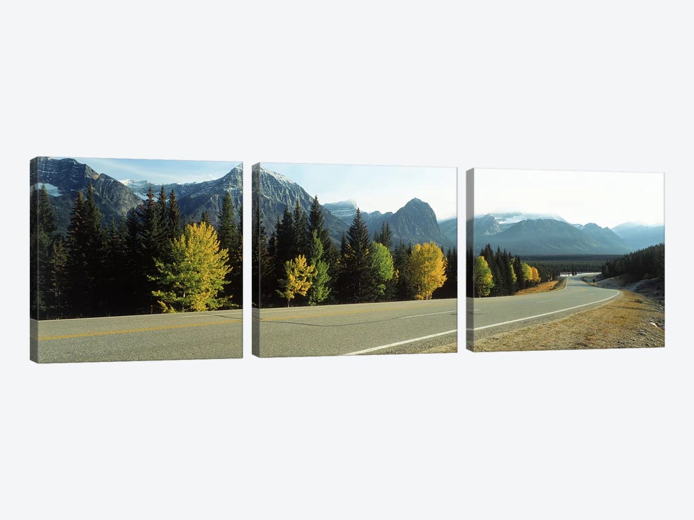 Road Alberta Canada by Panoramic Images 3-piece Canvas Art Print